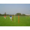 Slalom pole for dribbling practice