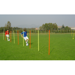 Pole slalom with base for indoor training