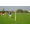 Pole slalom with base for indoor training