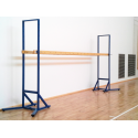 Transportable horizontal ladder for gymnastics