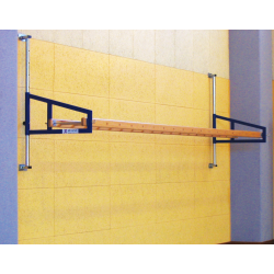Horizontal wall ladder for gymnastics