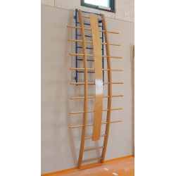Orthopedic curve ladder