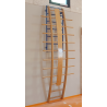 Orthopaedic curved ladder