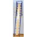 Straight orthopedic ladder tilting