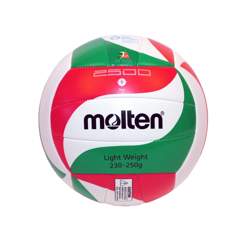 Volleyball Molten V5M2501-L