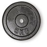 Discus for weightlifting kg.10