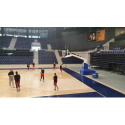 FIBA certified red 15 basketball system
