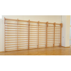 Double span stall bar