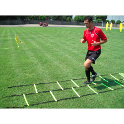 Double agility speed ladder
