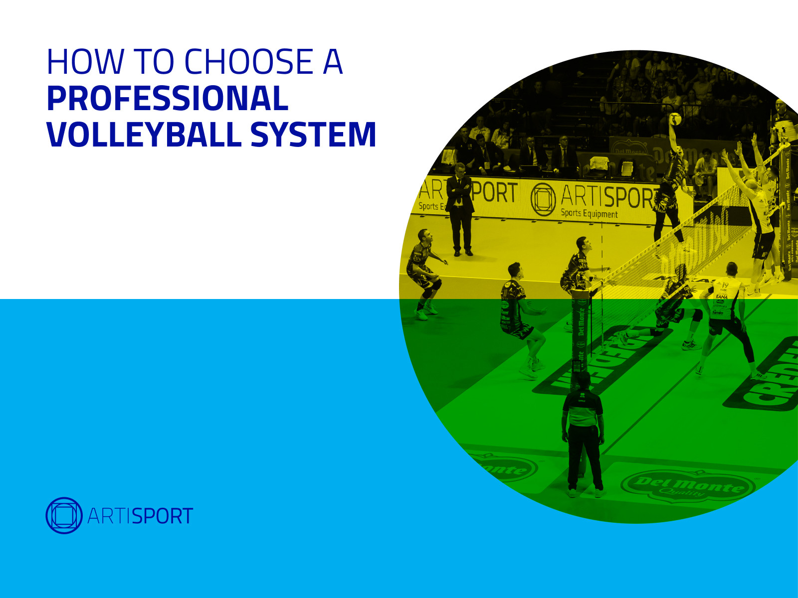 How to choose a professional volleyball system