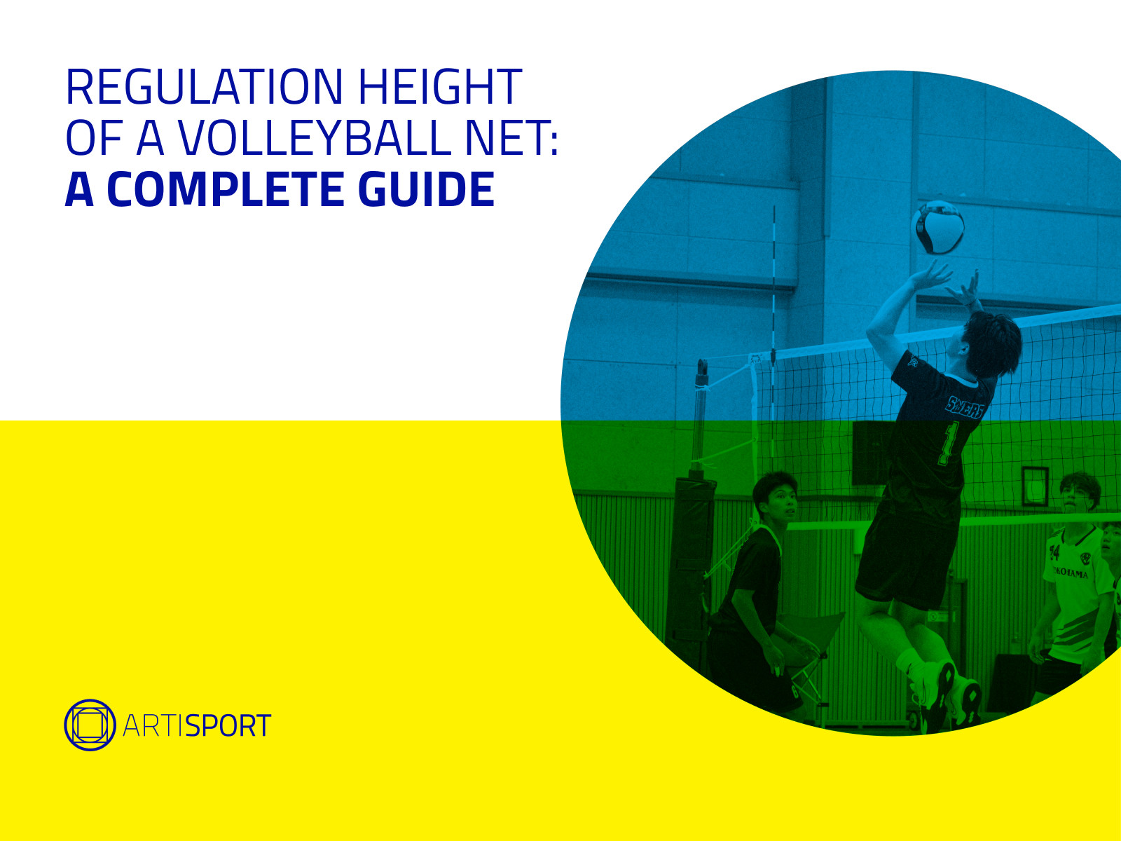 Regulation height of a volleyball net: a complete guide